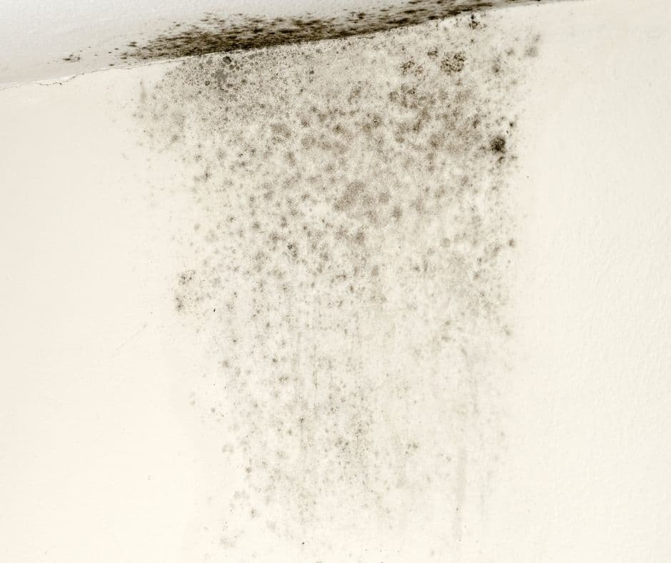 AC mold in HVAC systems