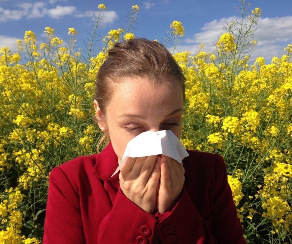 allergies in summer 2